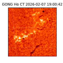 gong - 2026-02-07T19:00:42