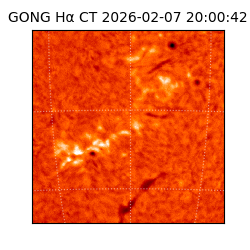 gong - 2026-02-07T20:00:42