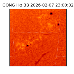 gong - 2026-02-07T23:00:02