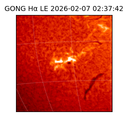 gong - 2026-02-07T02:37:42