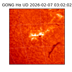 gong - 2026-02-07T03:02:02