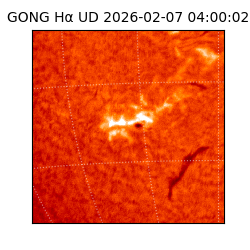 gong - 2026-02-07T04:00:02