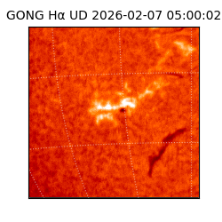 gong - 2026-02-07T05:00:02