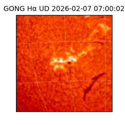 gong - 2026-02-07T07:00:02