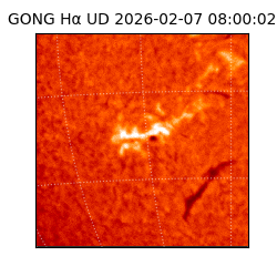 gong - 2026-02-07T08:00:02