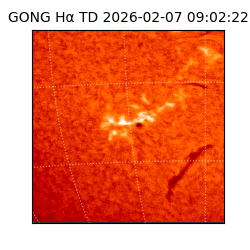 gong - 2026-02-07T09:02:22