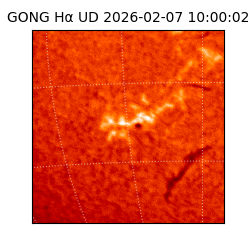 gong - 2026-02-07T10:00:02