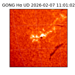 gong - 2026-02-07T11:01:02