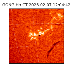 gong - 2026-02-07T12:04:42