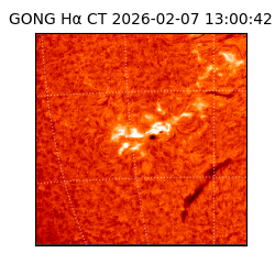 gong - 2026-02-07T13:00:42