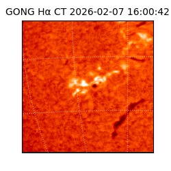 gong - 2026-02-07T16:00:42