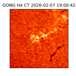 gong - 2026-02-07T19:00:42