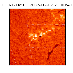 gong - 2026-02-07T21:00:42
