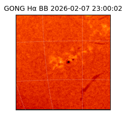 gong - 2026-02-07T23:00:02