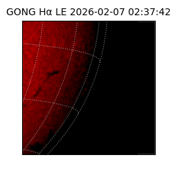 gong - 2026-02-07T02:37:42