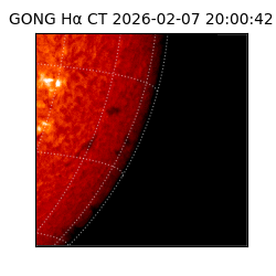 gong - 2026-02-07T20:00:42