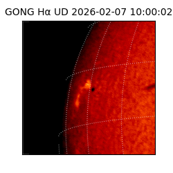 gong - 2026-02-07T10:00:02