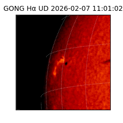 gong - 2026-02-07T11:01:02