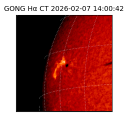 gong - 2026-02-07T14:00:42