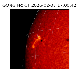 gong - 2026-02-07T17:00:42