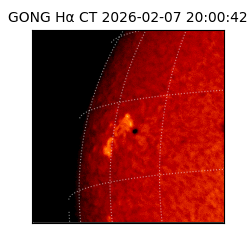 gong - 2026-02-07T20:00:42