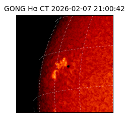 gong - 2026-02-07T21:00:42