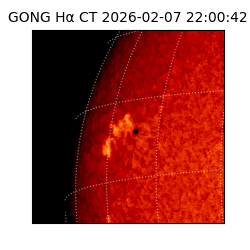 gong - 2026-02-07T22:00:42
