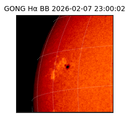 gong - 2026-02-07T23:00:02