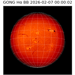gong - 2026-02-07T00:00:02