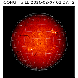 gong - 2026-02-07T02:37:42