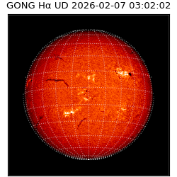 gong - 2026-02-07T03:02:02