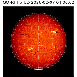 gong - 2026-02-07T04:00:02