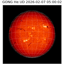 gong - 2026-02-07T05:00:02