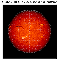 gong - 2026-02-07T07:00:02