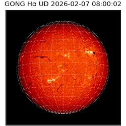 gong - 2026-02-07T08:00:02