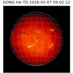 gong - 2026-02-07T09:02:22