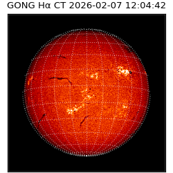 gong - 2026-02-07T12:04:42