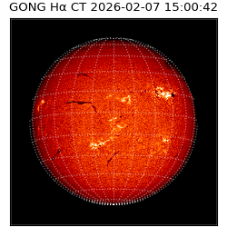 gong - 2026-02-07T15:00:42