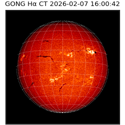 gong - 2026-02-07T16:00:42