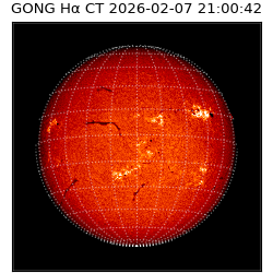 gong - 2026-02-07T21:00:42