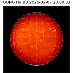gong - 2026-02-07T23:00:02