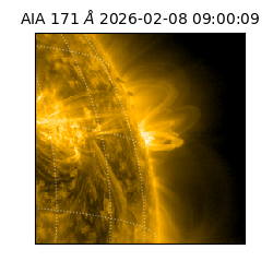 saia - 2026-02-08T09:00:09.350000