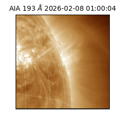 saia - 2026-02-08T01:00:04.843000