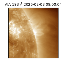 saia - 2026-02-08T09:00:04.843000