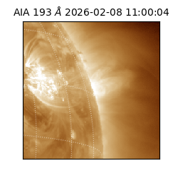 saia - 2026-02-08T11:00:04.843000