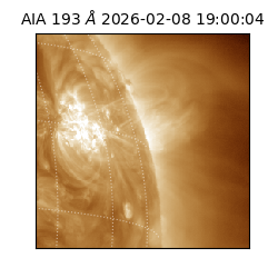 saia - 2026-02-08T19:00:04.843000