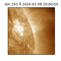 saia - 2026-02-08T20:00:04.846000