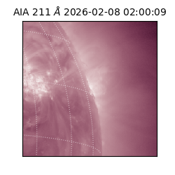 saia - 2026-02-08T02:00:09.626000