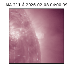 saia - 2026-02-08T04:00:09.626000