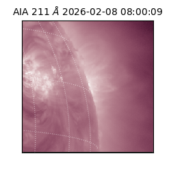 saia - 2026-02-08T08:00:09.625000